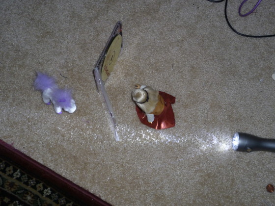On the left is a baby baby unicorn, and then there's a CD case.  Mini Kit and a flashlight are on the other side of the CD case, the flashlight shining onto the CD case itself.